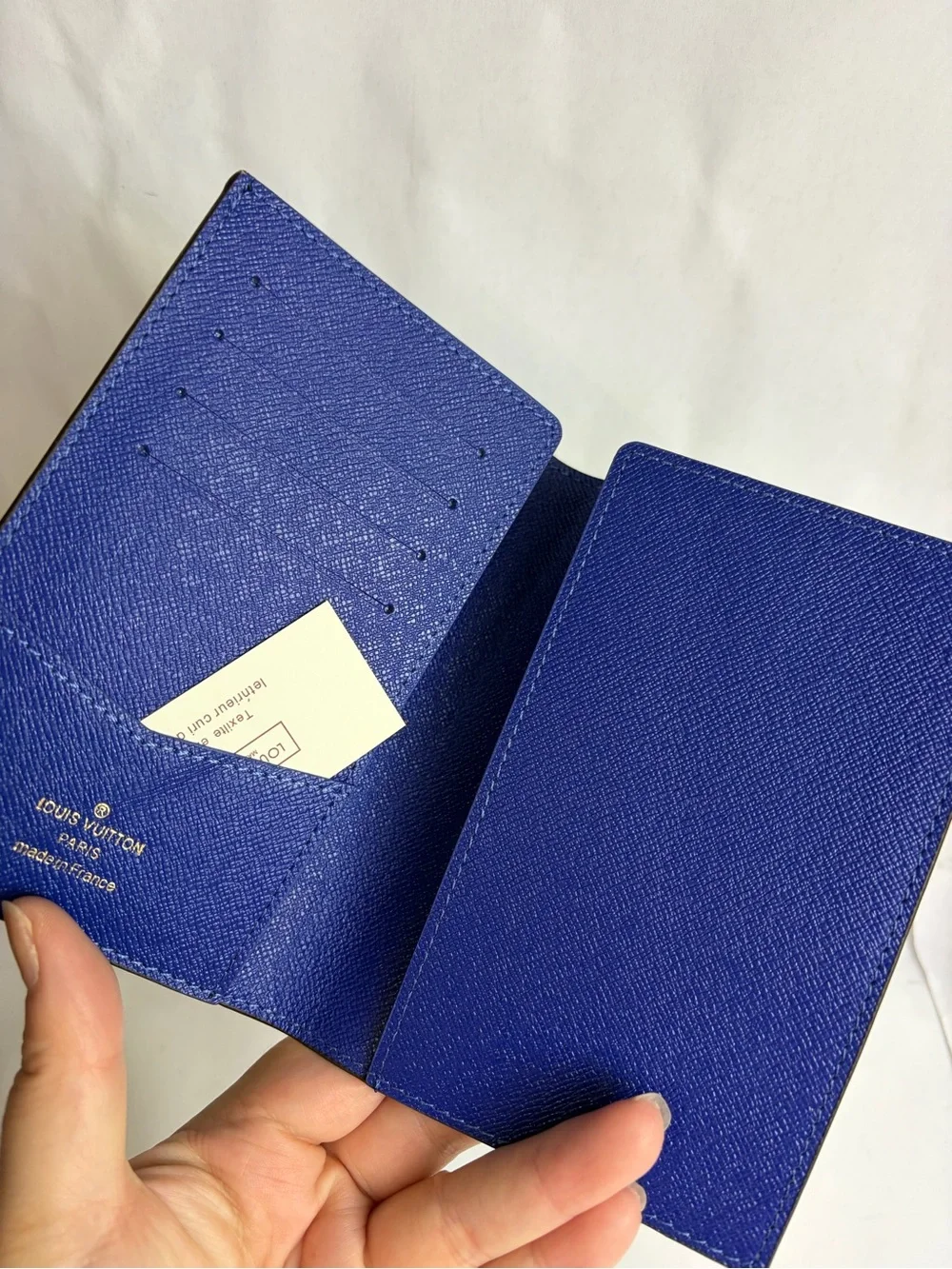 Louis Vuitton Monogram Passport Cover with Pink Character and Green Scene